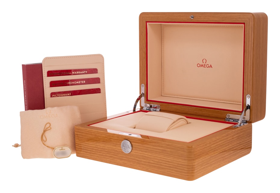 Omega Aqua Terra 150m Gents 220.10.41.21.01.002 Image 5